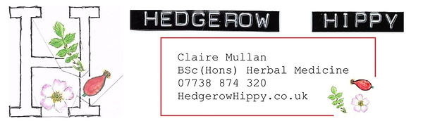 2019-website-header-1-e1565892497348.jpe