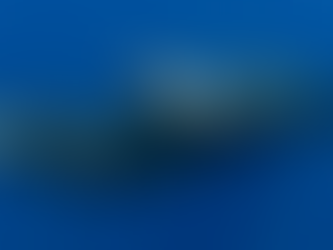 Swimming with Whales: A Magical Experience in Dominica! Part 2.