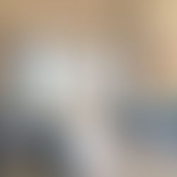 Sleep Like Royalty: Discover the Junior Suites at Hotel The Champs