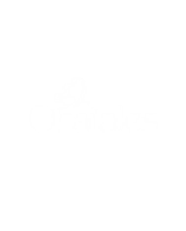 illustration.png