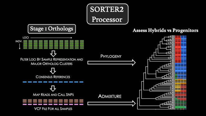 SORTER2Processor.png