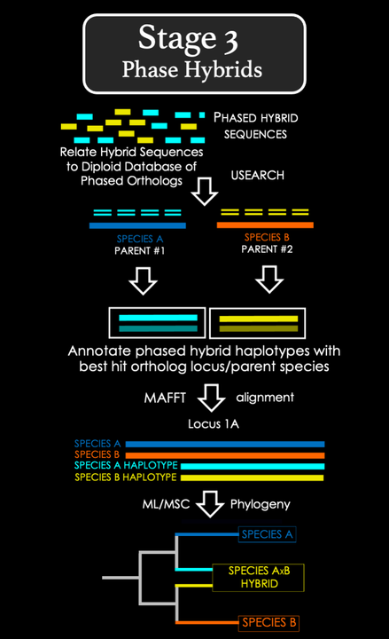 stage3.png