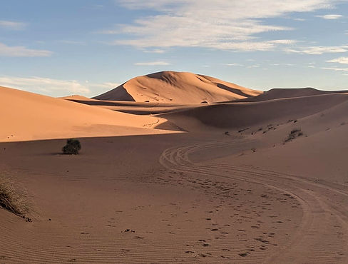aiz desert 2_edited.jpg