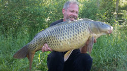 Les Carpes