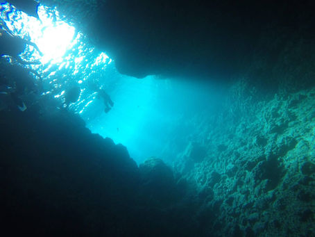 冬も出来るの?冬の青の洞窟ダイビング