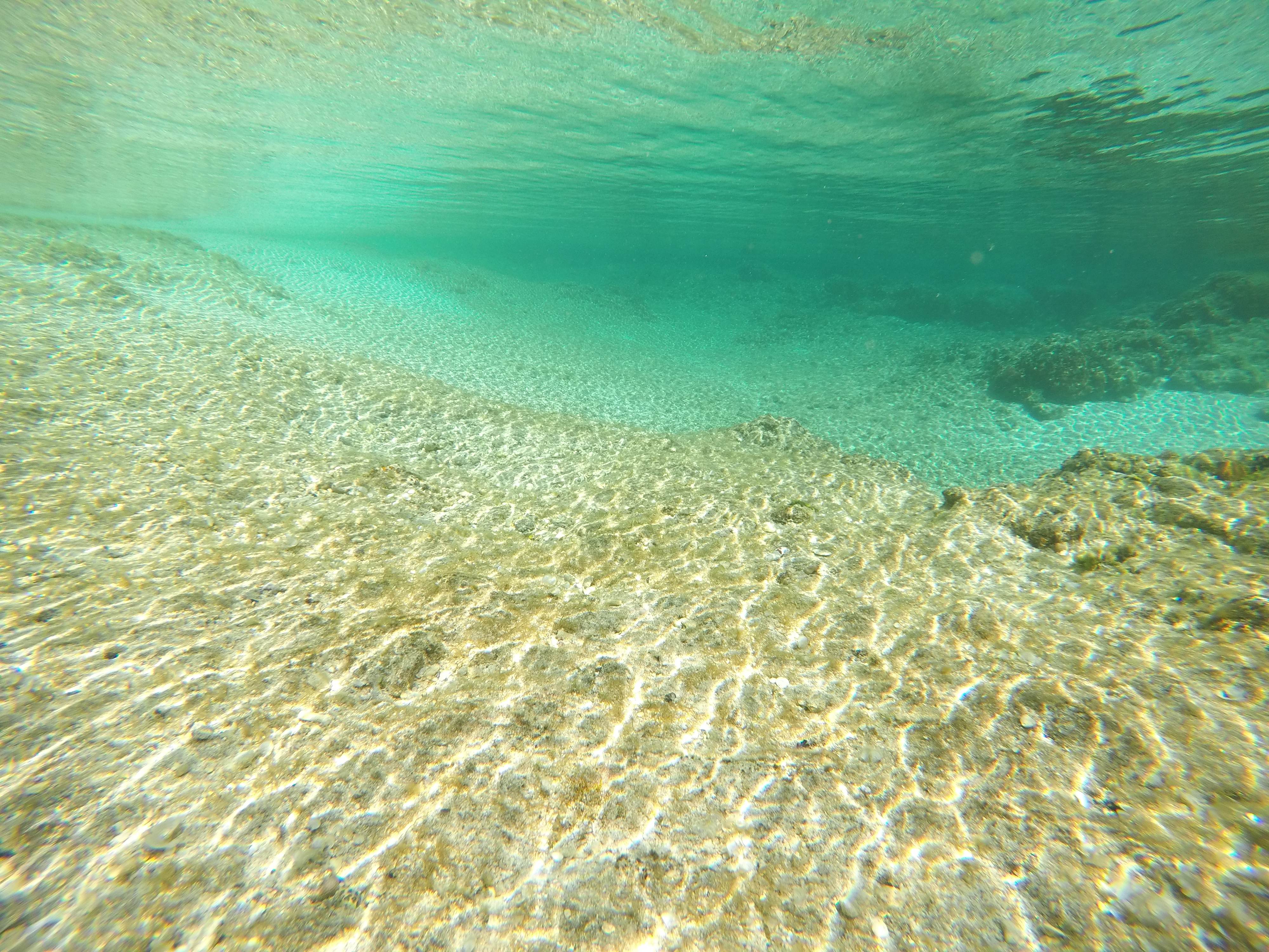 シュノーケル 透き通る海
