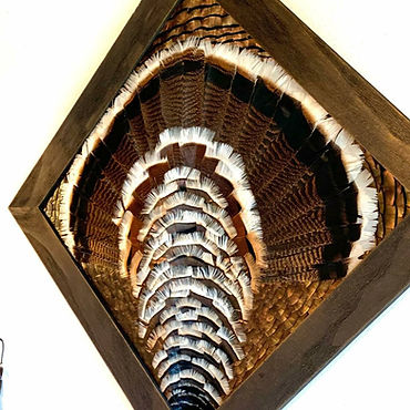 Rio Grande Turkey Feather