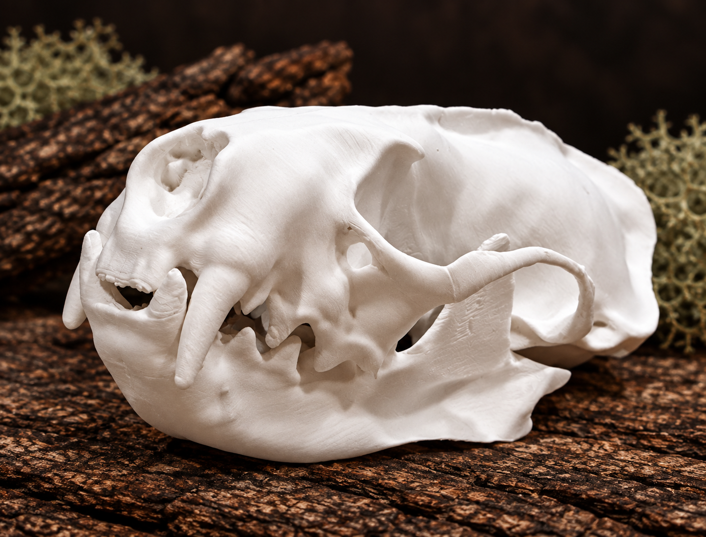 Mink Skull Replica