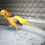 Thumbnail: Yellow Golden Pheasant Hatching Eggs