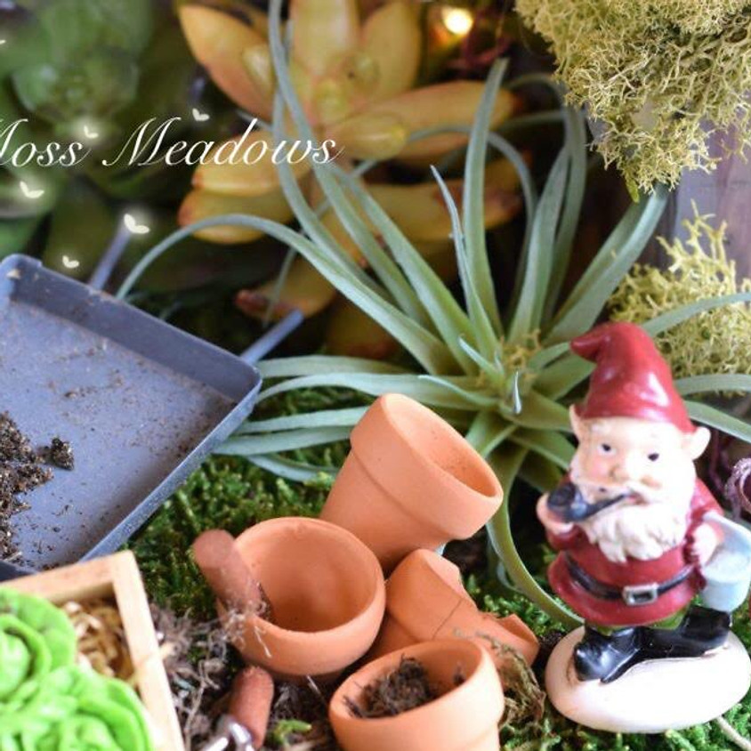 Fairy Garden Workshop