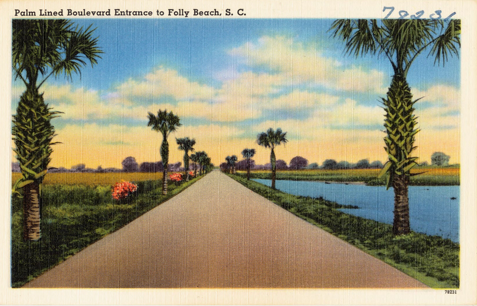 Palm-lined road leads to Folly Beach, SC. Bright sky, serene water on right, flowers on left. Vintage postcard vibe with text on top.