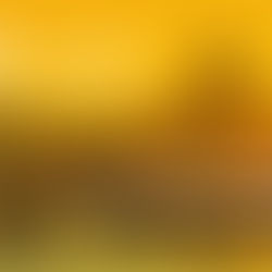 Edana OUTLOOK™ 2024