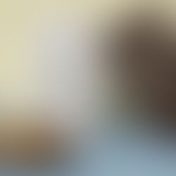 With great excitement, we announce the launch of Burgo Group's new SUN range.