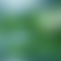 World Water Day – Advocating for Sustainable Water Management 💧