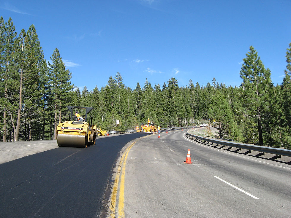 Crew paving and rolling the left side of a highway, lined with pine trees