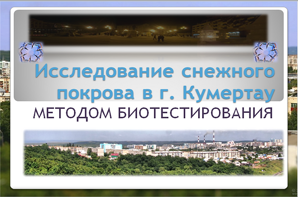 Рисунок1.png