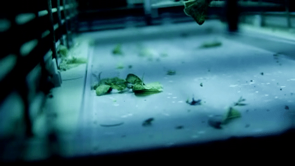 Machine - Short Film - Burak Babayigit