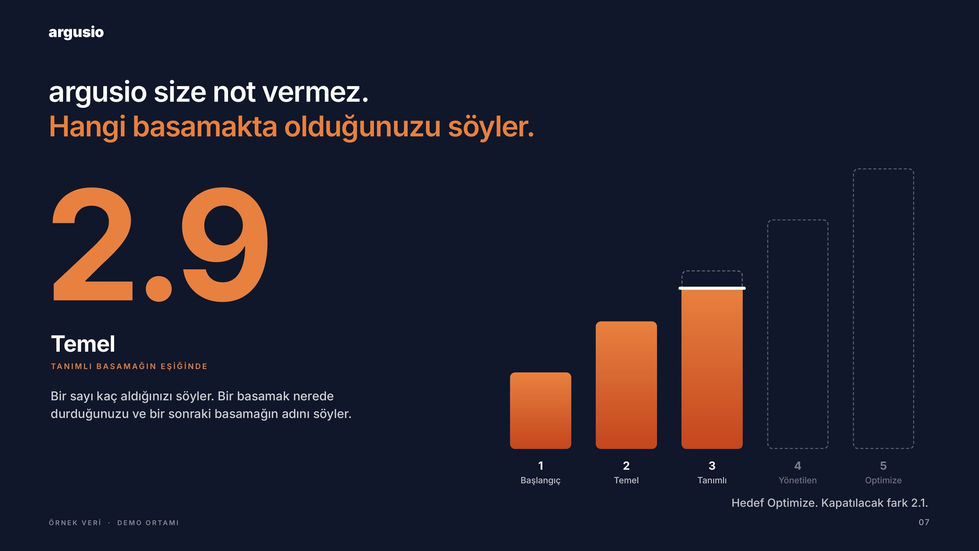 argusio · Olgunluk merdiveni, 2.9 | Cambio Global