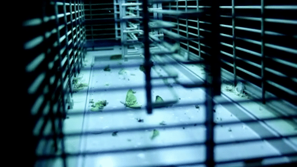 Machine - Short Film - Burak Babayigit