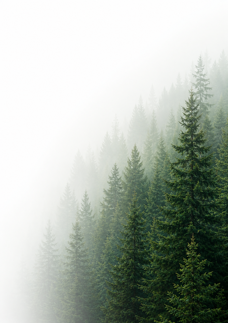 E6C8F28B-4992-4595-9A71-21670B4F2CB9.png