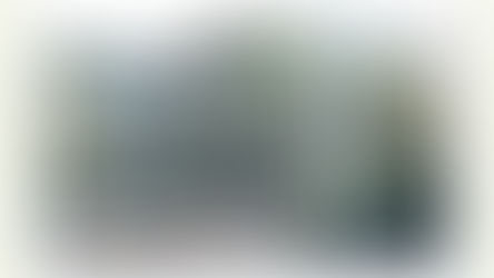 בטעם של פעם: ליטל ואלון רונן 20-1-2016 בחיפה