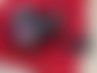 ダイワ リール 赤牙 100P-RM