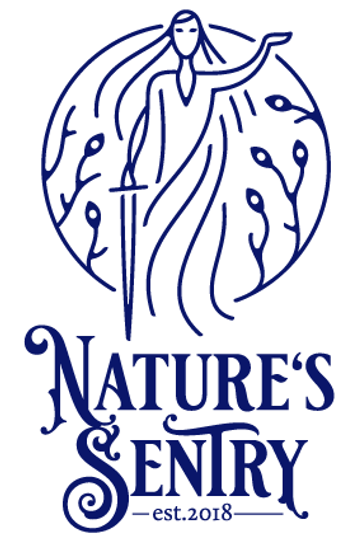 NS logo.png