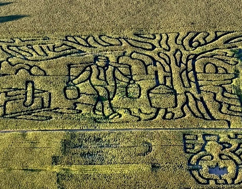 lazylilaccornmaze.jpg