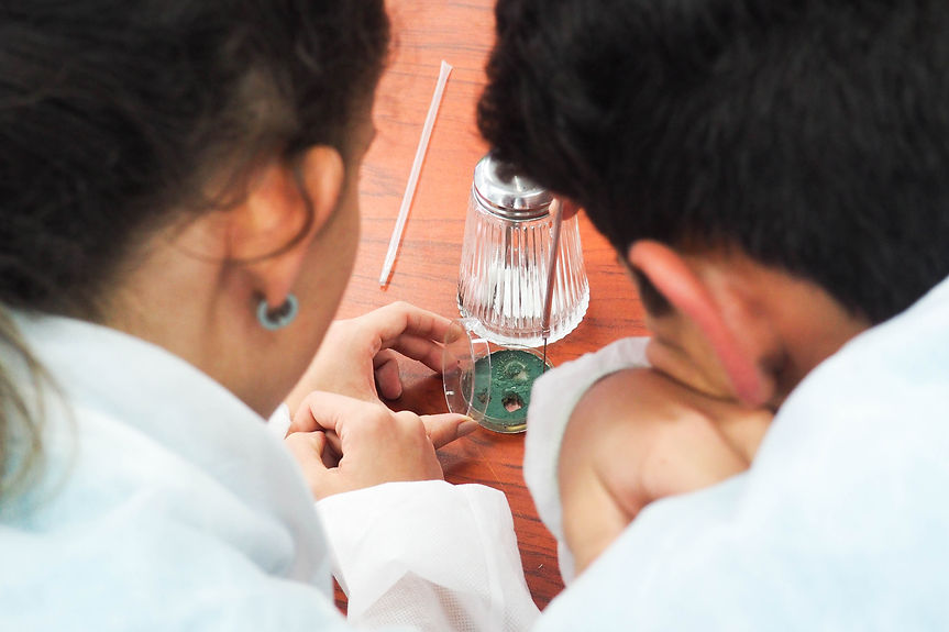 Estudiantes de colegio y secundaria haciendo experimentos en casa