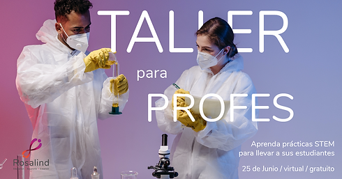 Taller para profes-01-01.png