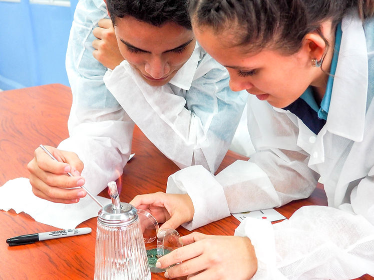 Estudiantes jóvenes haciendo experimentos científicos en su salón de clase de ciencias