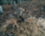 Beautiful 10 Point