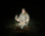 Up to 190" Hunt