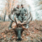 Elk Hunt