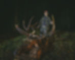 Elk Hunt
