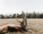 Elk Hunt