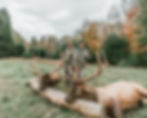 Elk Hunt
