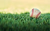 its-baseball-time-shot-of-a-baseball-lying-on-a-f-2022-08-26-11-58-04-utc.jpg