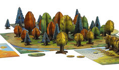 Photosynthesis Strategy Board Game