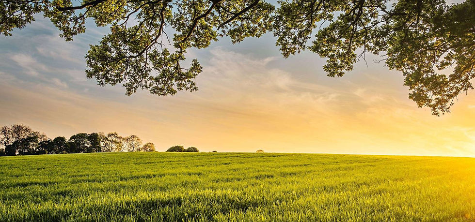 Hayalimdeki ev için boş arsam