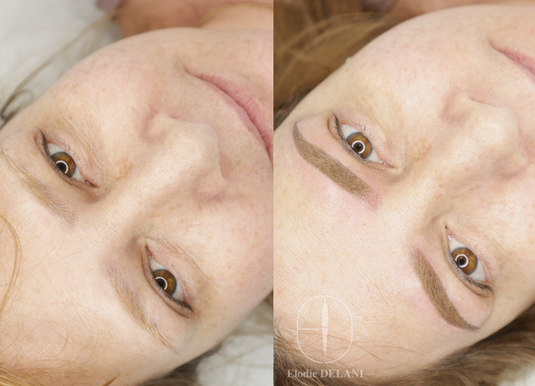 Microshading des sourcils pas cher sur paris , maquillage permanent des sourcils , shading , ombre brows , dermopigmentation paris , micropigmentation , sourcils en ombrage , sourcils naturels , maquillage permanent naturel