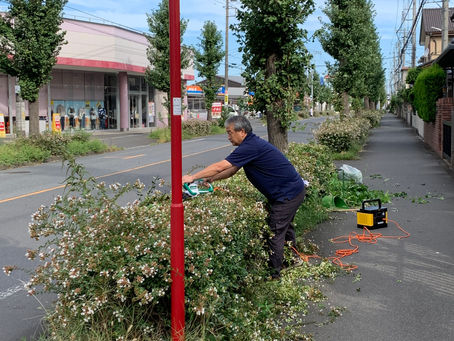 夕日が丘通り歩道植え込み剪定