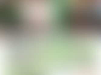 2023最新版夏まつりプログラムポスター