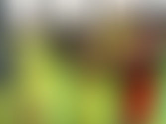 Kingsbury comes up huge in penalty kick shootout, as the Spirit advance to the NWSL semifinal over Louisville 