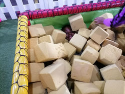 Eve Kids of  Joy Shows and Outings