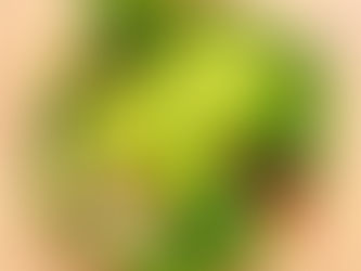 Emagrecer urgente requer uma combinação de dieta hipocalórica