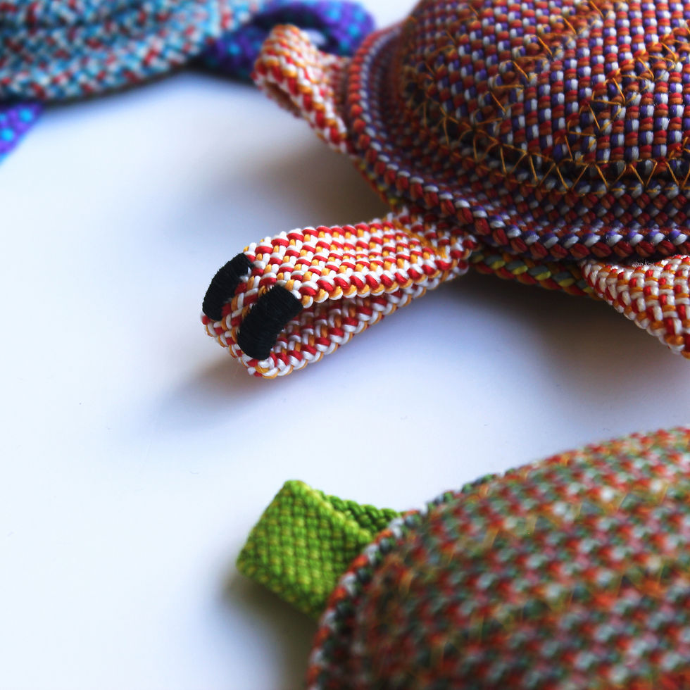 Thumbnail: close up of climbing teddy bears in the form of cute climbing rope turtles