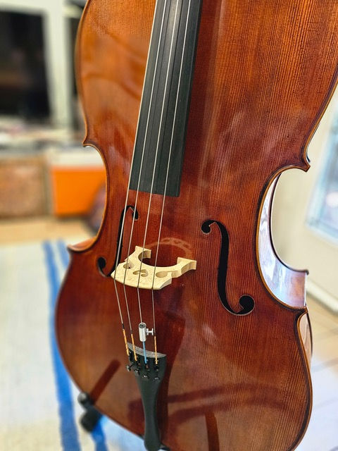 Thumbnail: Cello, Shroeder Full-size 4/4, Spruce top, Maple body. With bow, stand, gigbag