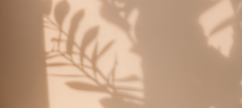 satori-header (600 x 300 px) (1).png