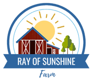RAY%20OF%20SUNSHINE_NEW%20(6)_edited.png